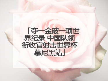 夺一金破一项世界纪录 中国队领衔收官射击世界杯慕尼黑站