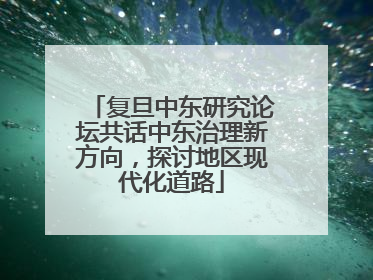 复旦中东研究论坛共话中东治理新方向，探讨地区现代化道路