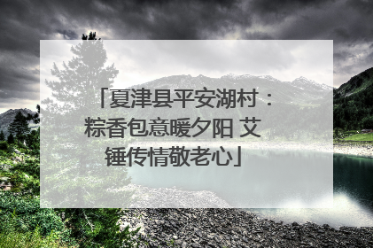 夏津县平安湖村：粽香包意暖夕阳 艾锤传情敬老心
