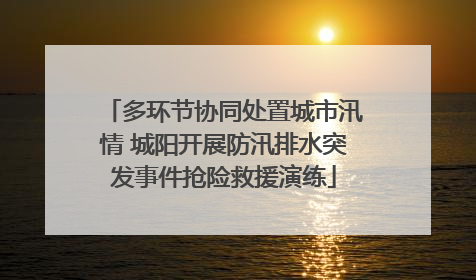 多环节协同处置城市汛情 城阳开展防汛排水突发事件抢险救援演练