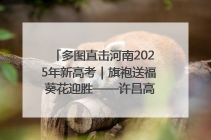 多图直击河南2025年新高考｜旗袍送福 葵花迎胜——许昌高考首日拉开帷幕
