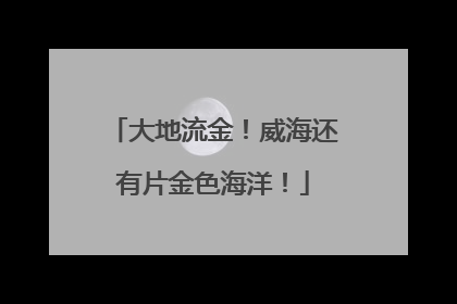 大地流金！威海还有片金色海洋！