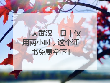 大武汉一日｜仅用两小时，这个证书免费拿下