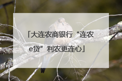 大连农商银行“连农e贷”利农更连心