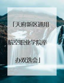 天府新区通用航空职业学院举办双选会