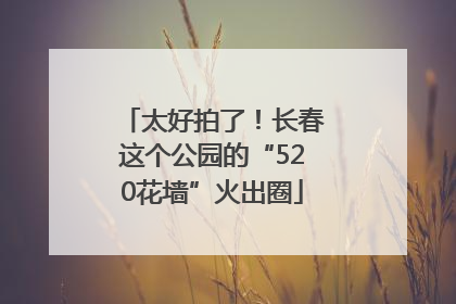 太好拍了！长春这个公园的“520花墙”火出圈