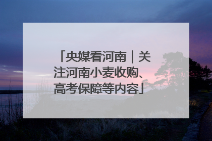 央媒看河南｜关注河南小麦收购、高考保障等内容
