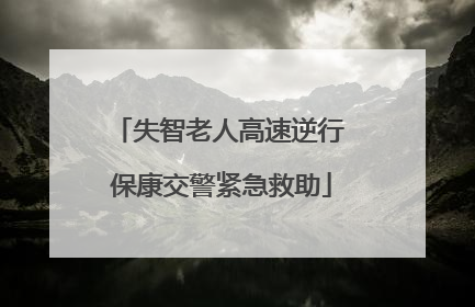 失智老人高速逆行 保康交警紧急救助