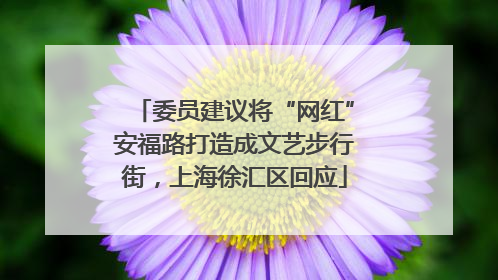 委员建议将“网红”安福路打造成文艺步行街，上海徐汇区回应