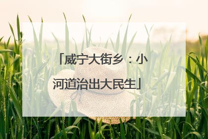 威宁大街乡：小河道治出大民生