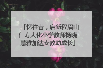 忆往昔，启新程眉山仁寿大化小学教师杨晓慧雅加达支教助成长