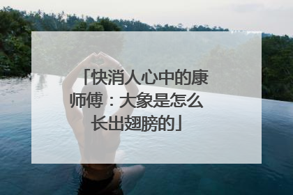 快消人心中的康师傅：大象是怎么长出翅膀的