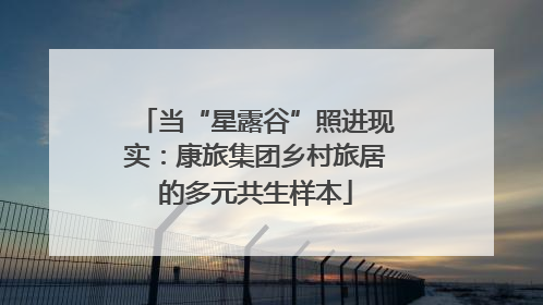 当“星露谷”照进现实：康旅集团乡村旅居的多元共生样本