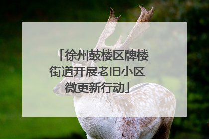 徐州鼓楼区牌楼街道开展老旧小区微更新行动