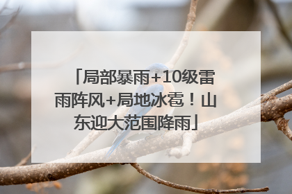 局部暴雨+10级雷雨阵风+局地冰雹！山东迎大范围降雨