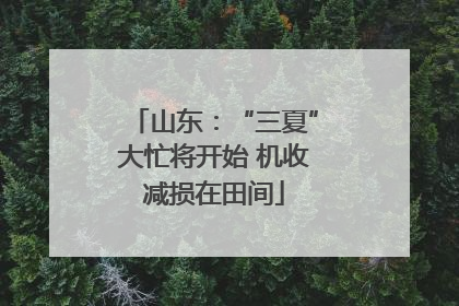 山东：“三夏”大忙将开始 机收减损在田间