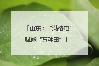 山东：“满格电”赋能“慧种田”
