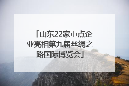 山东22家重点企业亮相第九届丝绸之路国际博览会
