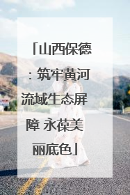 山西保德：筑牢黄河流域生态屏障 永葆美丽底色
