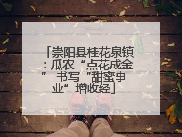 崇阳县桂花泉镇:瓜农“点花成金” 书写“甜蜜事业”增收经