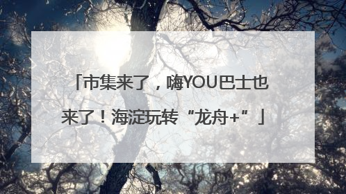 市集来了，嗨YOU巴士也来了！海淀玩转“龙舟+”