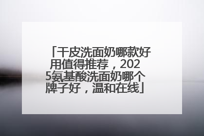 干皮洗面奶哪款好用值得推荐，2025氨基酸洗面奶哪个牌子好，温和在线