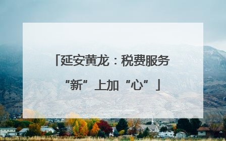 延安黄龙：税费服务“新”上加“心”