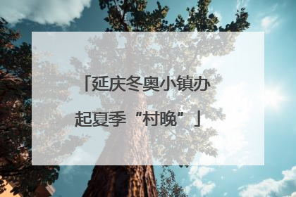 延庆冬奥小镇办起夏季“村晚”