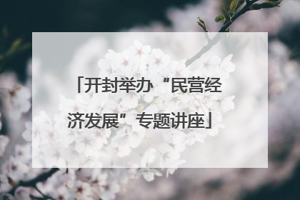 开封举办“民营经济发展”专题讲座