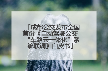 成都公交发布全国首份《自动驾驶公交“车路云一体化”系统联调》白皮书