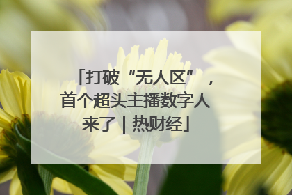 打破“无人区”，首个超头主播数字人来了｜热财经