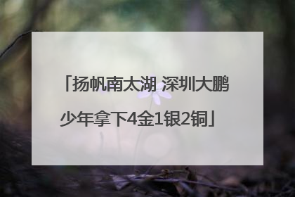 扬帆南太湖 深圳大鹏少年拿下4金1银2铜