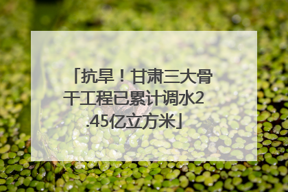 抗旱！甘肃三大骨干工程已累计调水2.45亿立方米