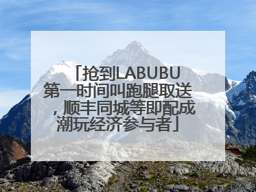 抢到LABUBU第一时间叫跑腿取送，顺丰同城等即配成潮玩经济参与者