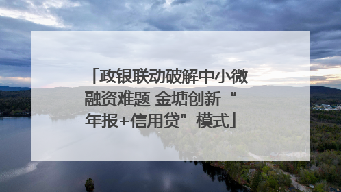 政银联动破解中小微融资难题 金塘创新“年报+信用贷”模式