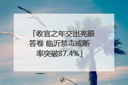收官之年交出亮眼答卷 临沂禁毒戒断率突破87.4%