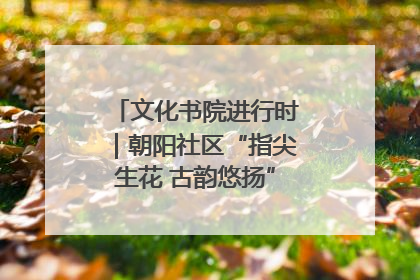 文化书院进行时｜朝阳社区“指尖生花 古韵悠扬”公益课堂开课了