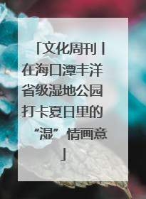 文化周刊丨在海口潭丰洋省级湿地公园打卡夏日里的“湿”情画意