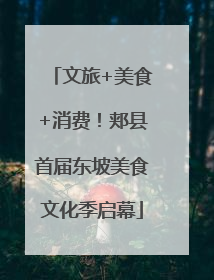 文旅+美食+消费！郏县首届东坡美食文化季启幕