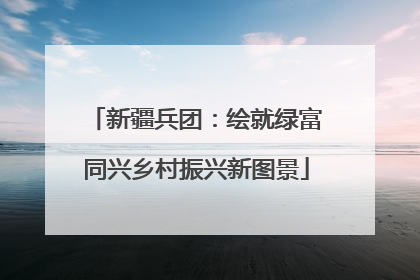 新疆兵团：绘就绿富同兴乡村振兴新图景