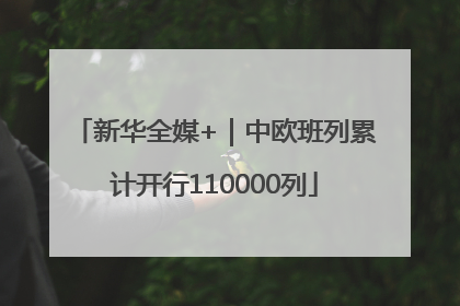 新华全媒+｜中欧班列累计开行110000列