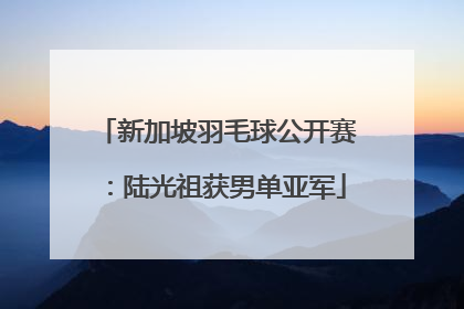 新加坡羽毛球公开赛：陆光祖获男单亚军