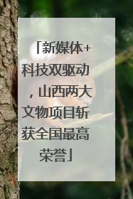新媒体+科技双驱动，山西两大文物项目斩获全国最高荣誉
