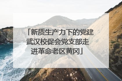 新质生产力下的党建 武汉校促会党支部走进革命老区黄冈