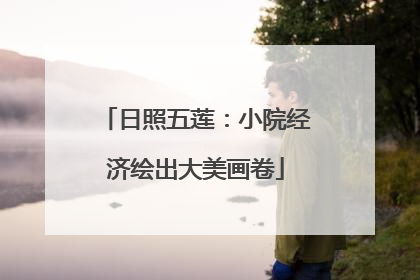 日照五莲：小院经济绘出大美画卷