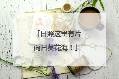 日照这里有片向日葵花海！