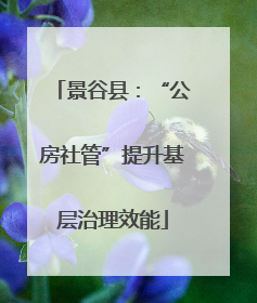 景谷县：“公房社管”提升基层治理效能