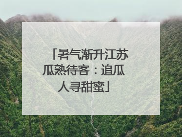 暑气渐升江苏瓜熟待客：追瓜人寻甜蜜