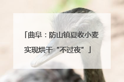 曲阜：防山镇夏收小麦实现烘干“不过夜”