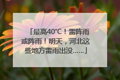 最高40℃！雷阵雨或阵雨！明天，河北这些地方雷雨出没……
